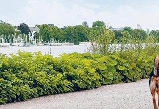 Eimsbüttel, Eppendorf, Harvestehude & Winterhude