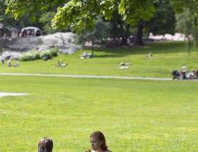 Vasaparken in Stockholm