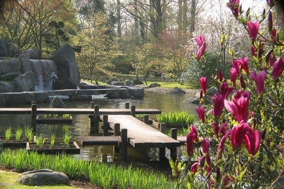 Hasselt Helemaal zen in de Japanse tuin