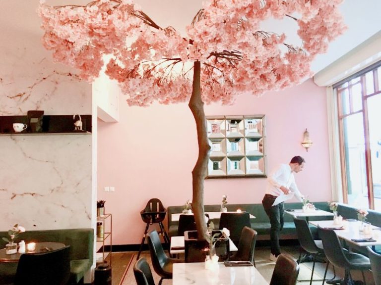 3 nieuwe hotspots in het Hofkwartier van Den Haag Confetti Cafe de Florez Lot Sixty One Coffee