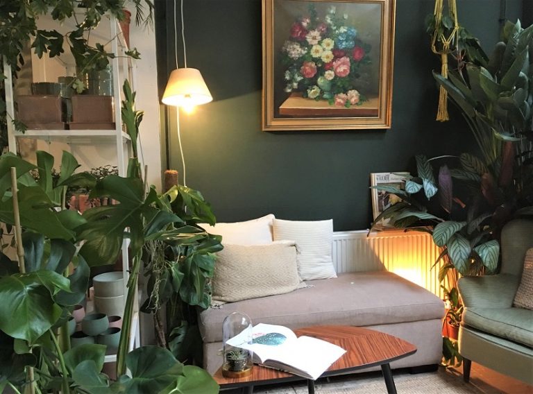 groene_en_healthy_hotspots_in_Den_Haag_filya_indoor_garden