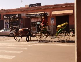 Lege-koets Marrakech coronavirus Marokko