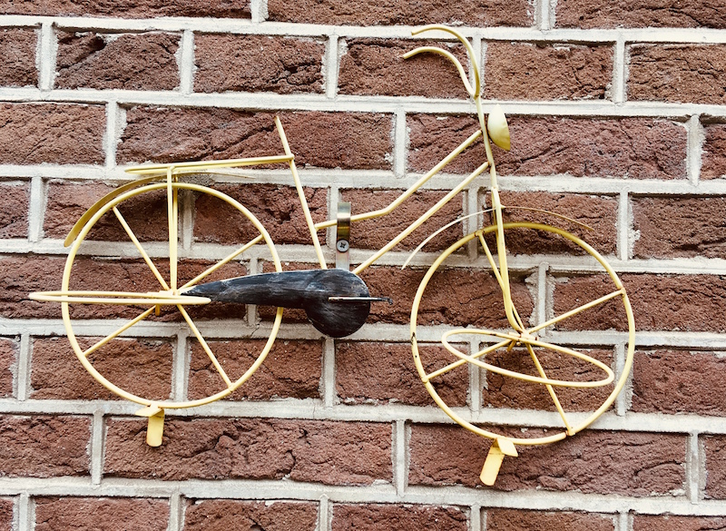 coronavirus Amsterdam