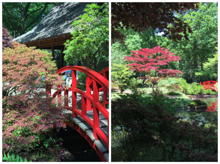 Den Haag Japanse Tuin Herfst