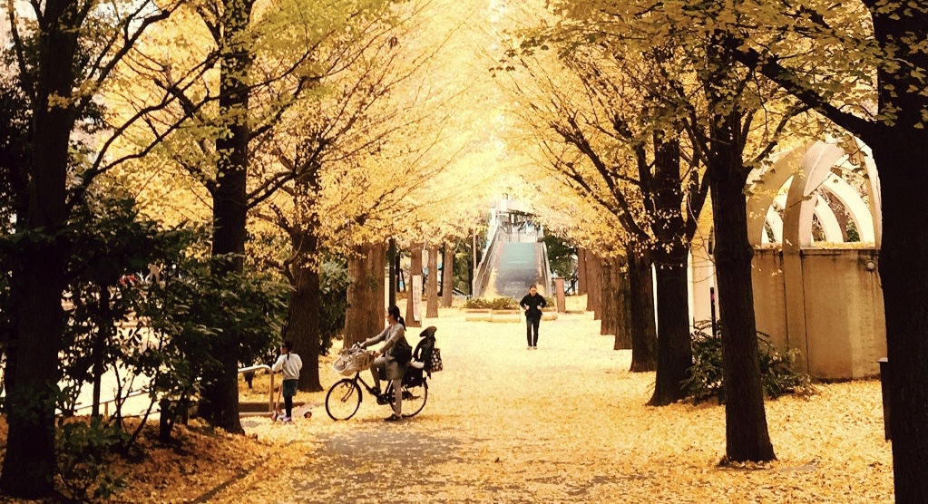 herfst in tokio