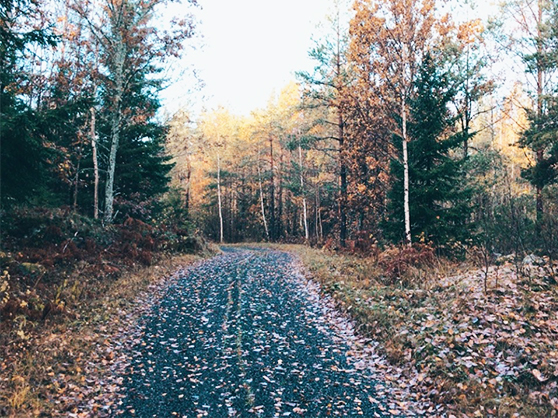 stockholm herfst 2021