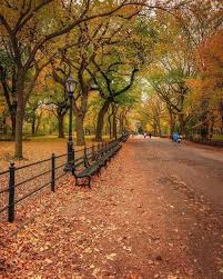 central park in october