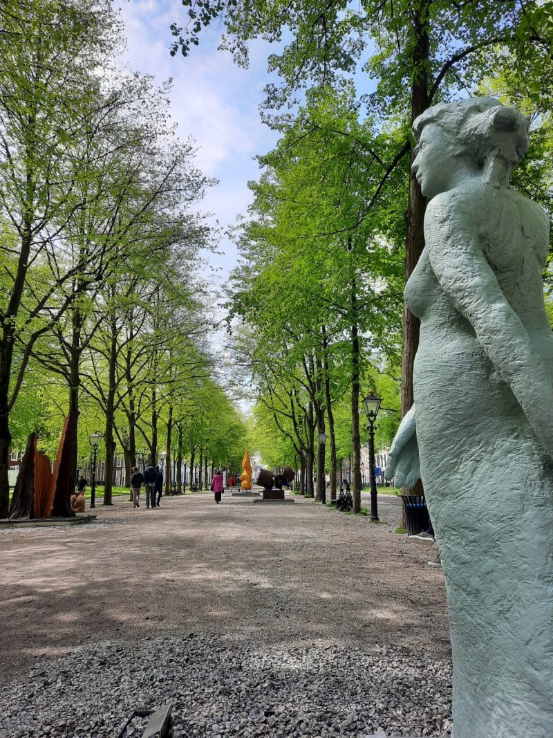 Lange Voorhout Den Haag Go Green