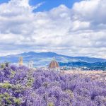 Park Giardino Bardini in Florence