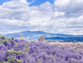 Park Giardino Bardini in Florence