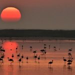Andalusië_de-mooiste-natuurparken-Andalusië