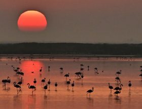 Andalusië_de-mooiste-natuurparken-Andalusië