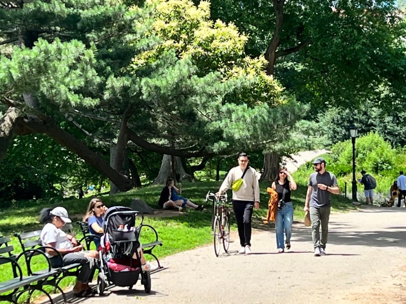 Parken in New York, hier zijn de meest verrassende • time momo