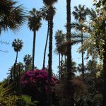 Parken in Marrakech