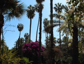 Parken in Marrakech