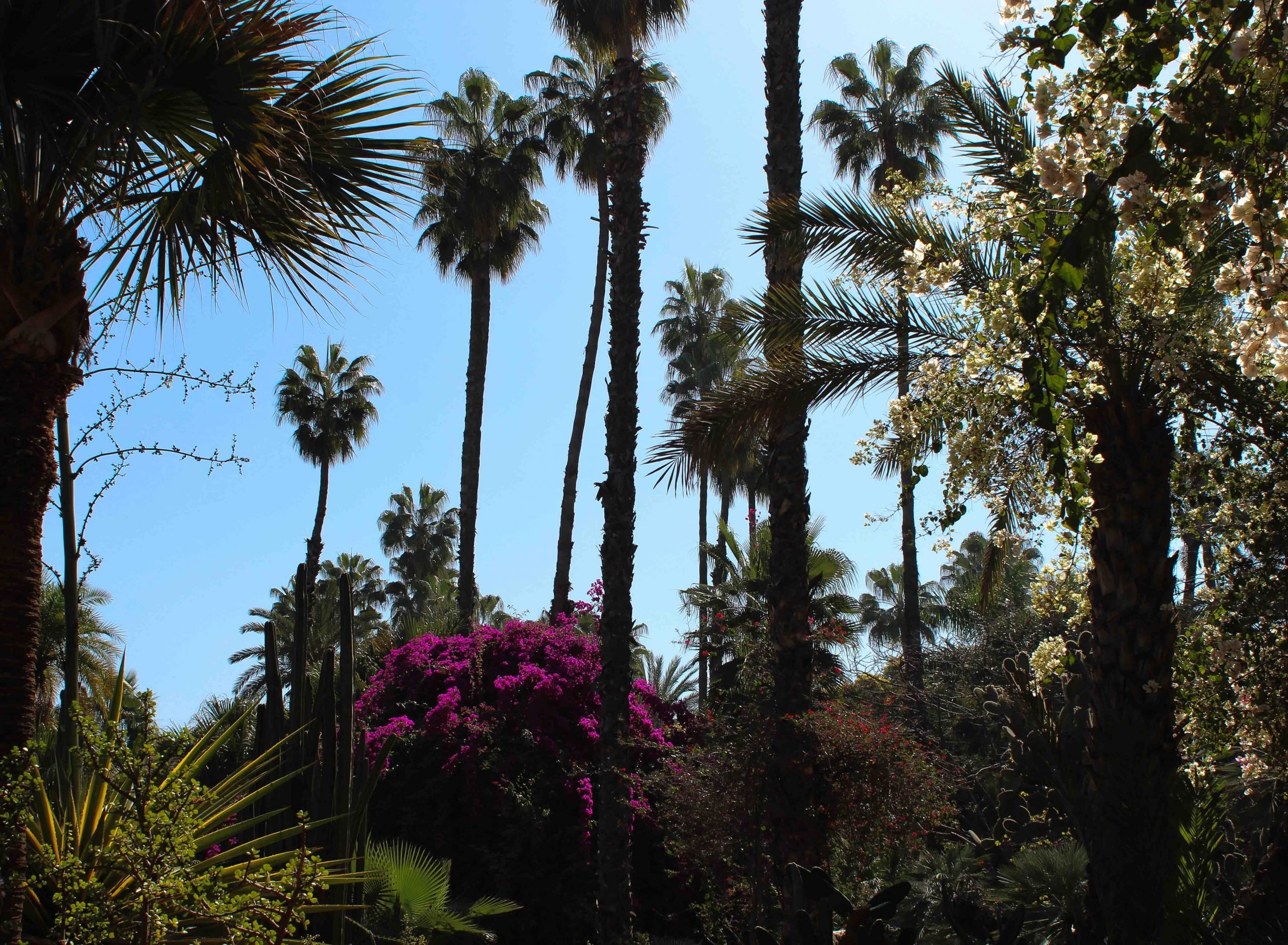 Parken in Marrakech