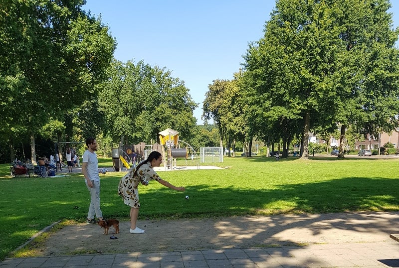 Mooiste parken van Eindhoven