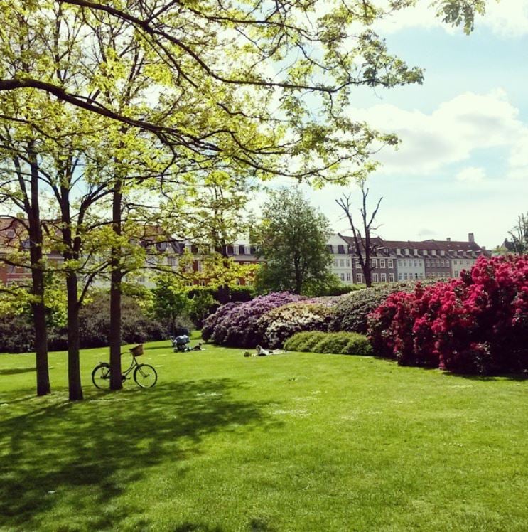 Park in Kopenhagen