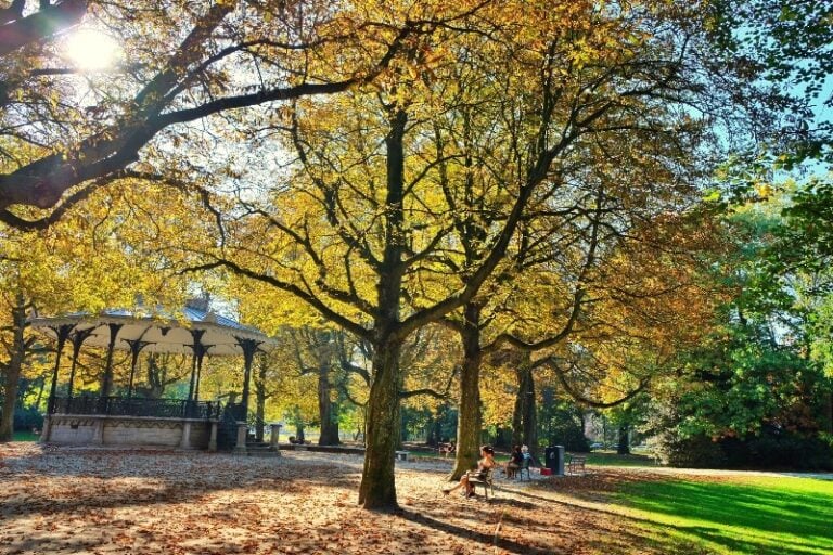 Park in Antwerpen tijdens de herfst