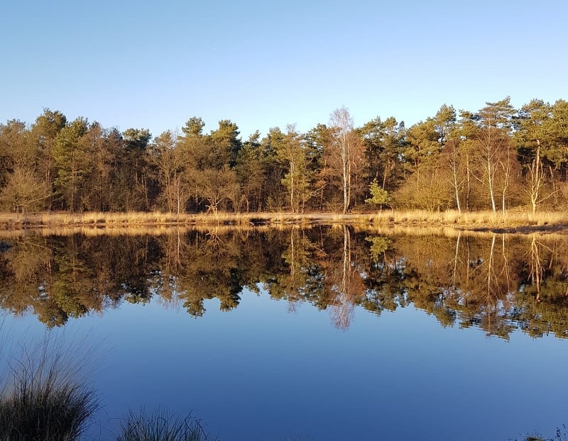 Eindhoven Dagtrips vanuit Eindhoven