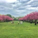 Evenementen in het voorjaar in New York