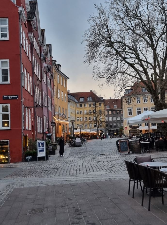 ochtendgloren patrouille betrouwbaarheid Parkeren in Kopenhagen • time to momo