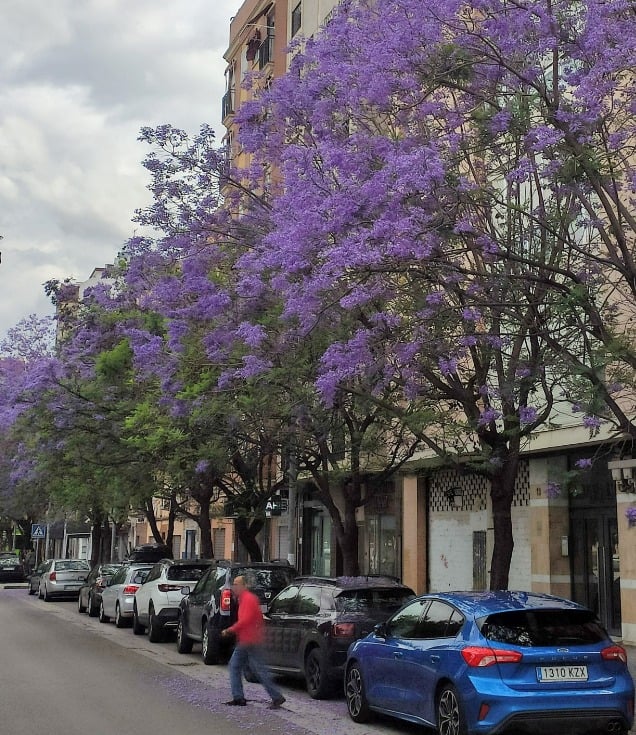 Parkeren in Córdoba