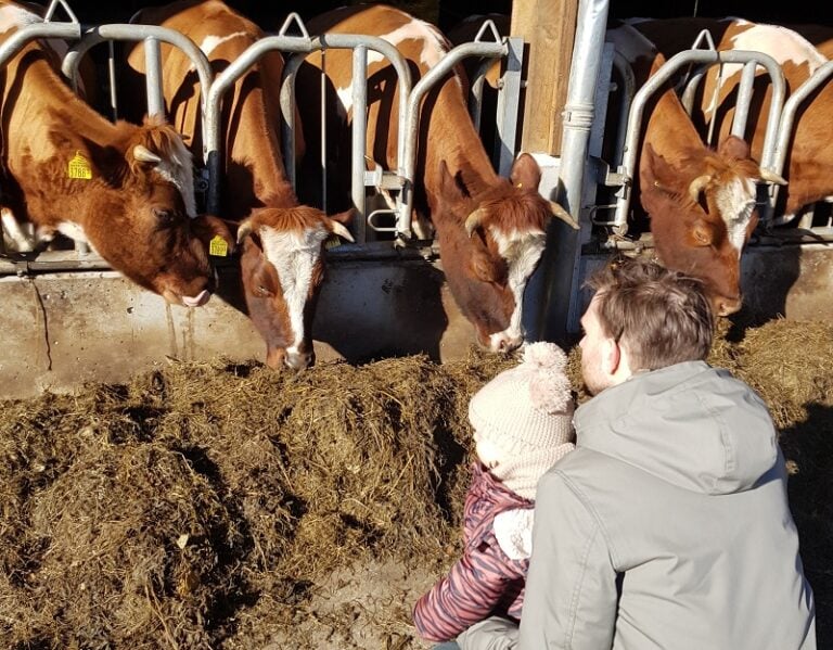 Eindhoven met kinderen